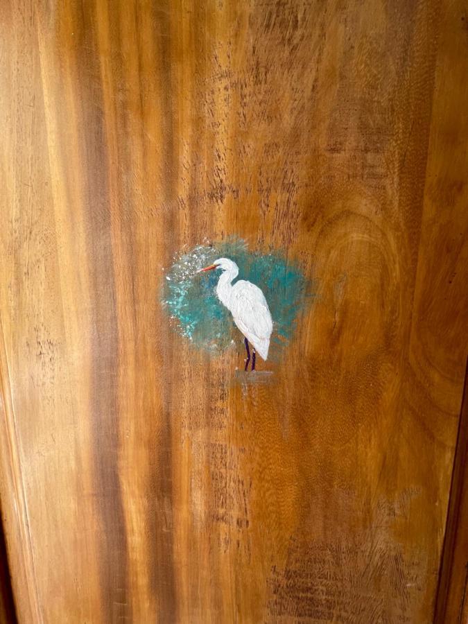 Apartamento Garza Blanca باجامار المظهر الخارجي الصورة
